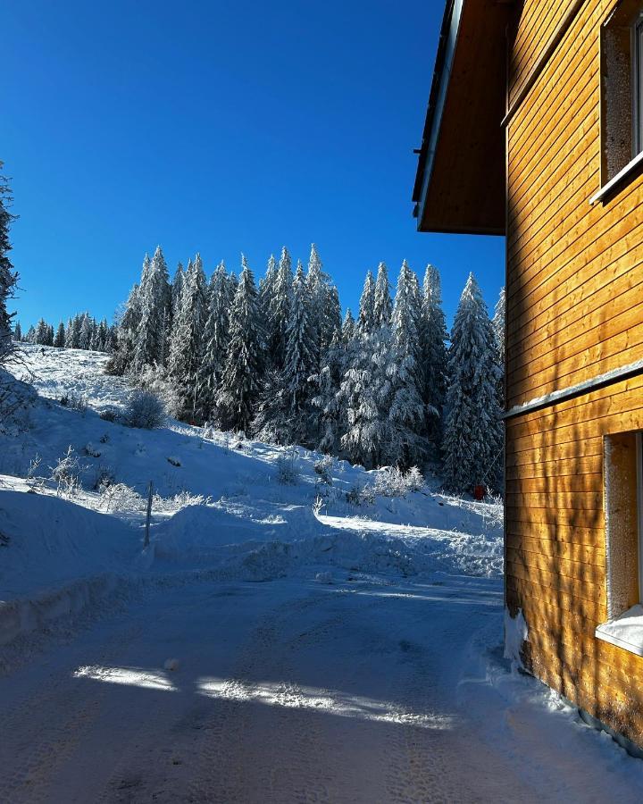 Feldberg Apartment - Direkt An Der Skipiste - Mit Sauna Exterior photo
